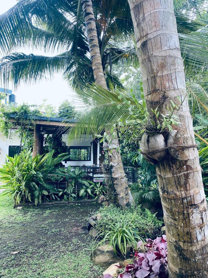 Nature Villa Unawatuna Galketiya Extérieur photo