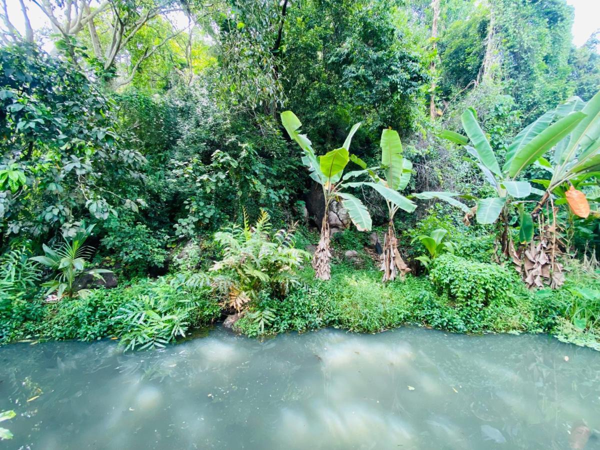Nature Villa Unawatuna Galketiya Extérieur photo